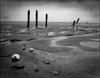 Rotting poles at Spurn